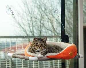 Original Kitty Cot Original Kitty Cot