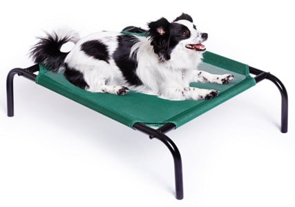 Amazonbasics-Elevated-Cooling-Pet-Bed