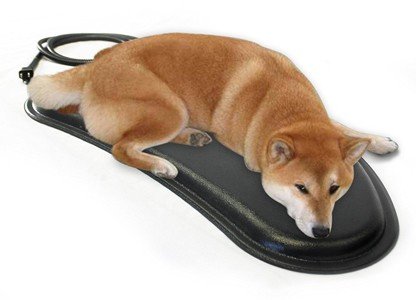 Milliard-Corner-Indoor-Outdoor-Heated-Pet-Pad