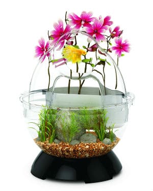 Biobubble-Wonder-Bubble-Tunnel-Kit