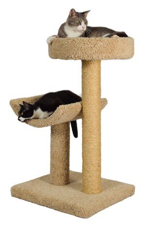 Molly And Friends Simple Sleeper Premium Cat Tree Molly-And-Friends-Simple-Sleeper-Premium-Cat-Tree
