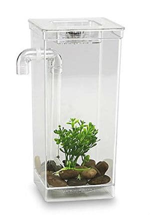 My-Fun-Fish-Tank
