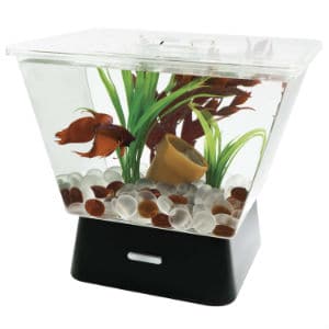 Tetra-29050-Led-Betta-Tank