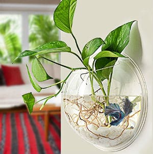 Wall-Fish-Tank-Acrylic-Wall-Aquarium