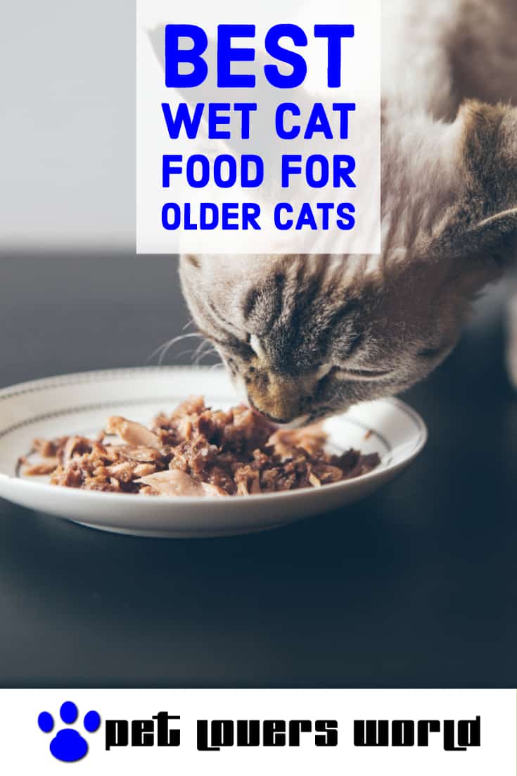 Best Wet Cat Food For Senior Cats Reviews Pinterest Image