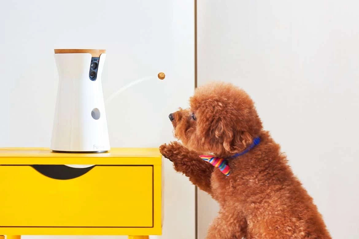 Furbo Dog Camera Reviews Featured Image