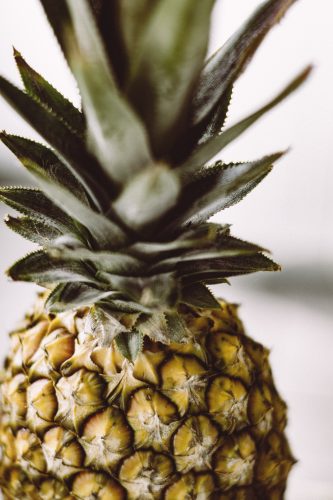 Dogs Can Eat Pineapple