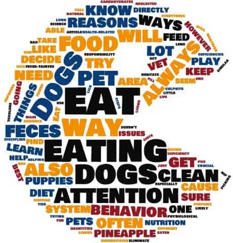 Why Do Dogs Eat Poop Wordcloud